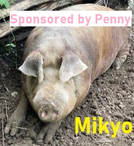 Mikyo-sponsored