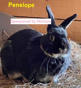 Penelope-sponsor