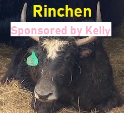 Rinchen-sponsor