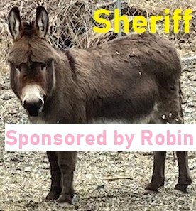 Sheriff-sponsor